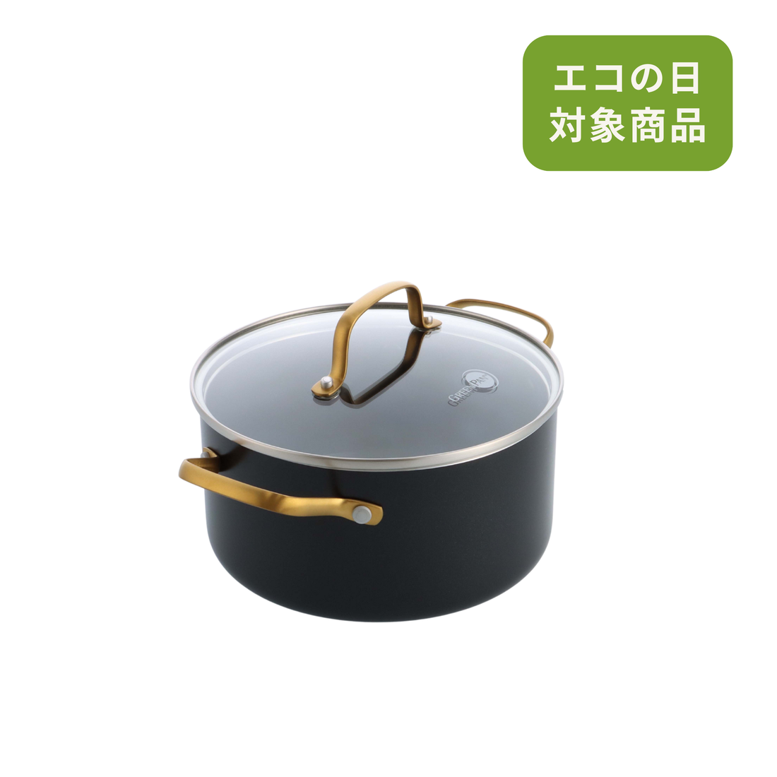 ストゥディオ キャセロール 20cmガラス蓋付　IH／ガス火対応