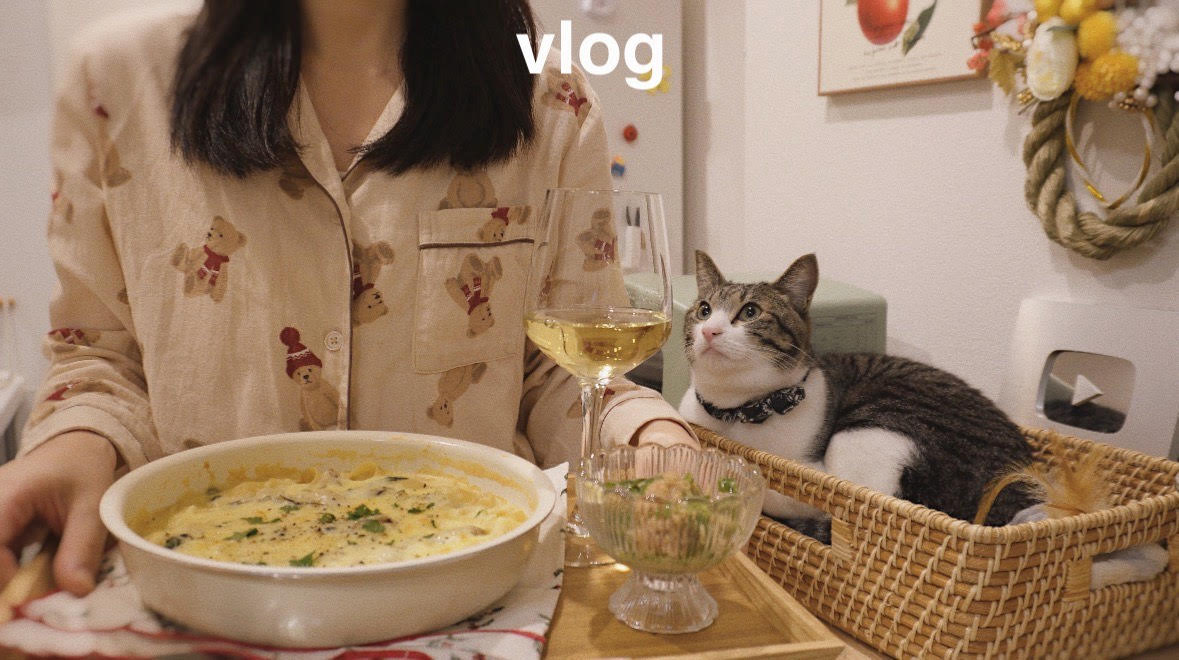 動画がロードされます。